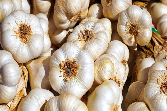 Boost Your Immune System Part Four: Garlic