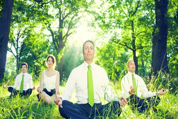 MINDFULNESS AND THE HUMAN BRAIN