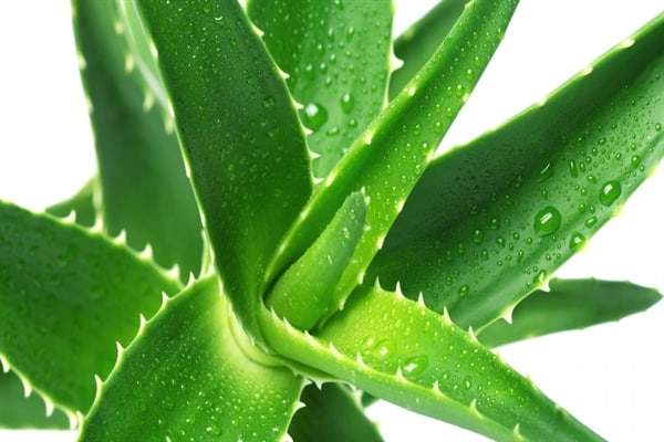 SUNBURN RELIEF AT HOME
